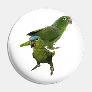 blue-crowned parrot Pin