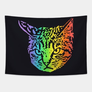 Rainbow Angry Cat Tapestry