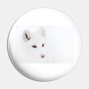 Arctic Fox closeup Pin