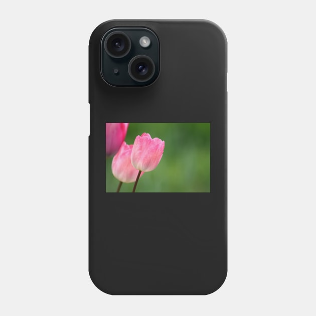 Pink tulips blossom close up, spring floral photo Phone Case by KINKDesign