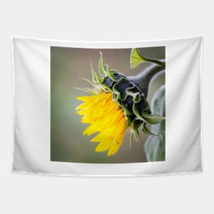 Sunflower Tapestry