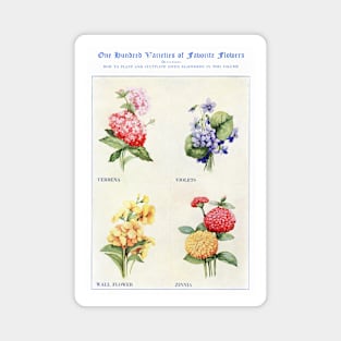 Flower watercolor illustration (1915) Magnet