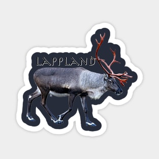 Lappland in Finland Magnet