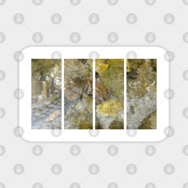 A static shot of a toad under the clear water of a mountain stream between rocks and stones; beautiful nature in a sunny day; no people around Magnet by fabbroni-art