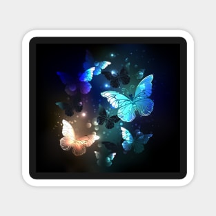 Fluttering Butterfly Magnet