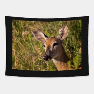 Mule Deer Saying Hello Tapestry