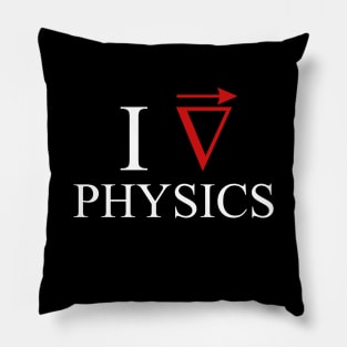 I love Physics Pillow