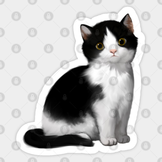 Cute Black White Cat Cats Sticker Teepublic