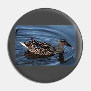 A duck with a water drop. Pin