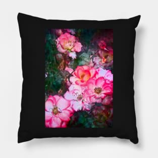 Rose 239 Pillow