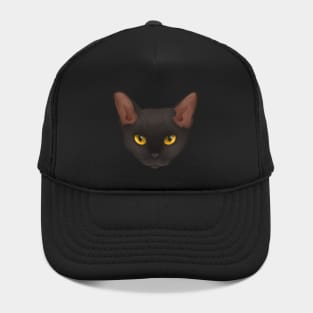Devon Rex Black Hat