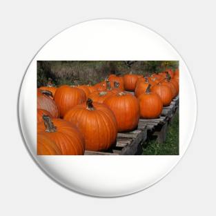 Pumpkins For Sale Pin