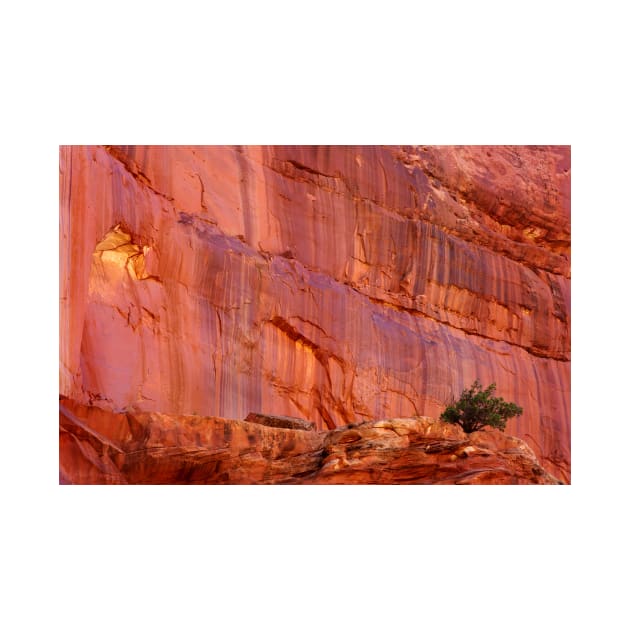 Wall Art ~ Capitol Reef, UT USA by VKPelham