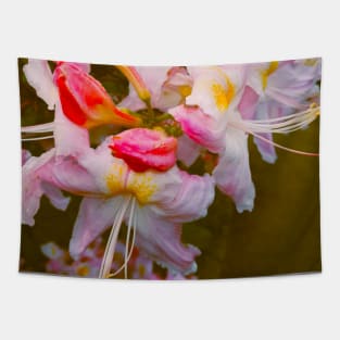 Mesmerizing White Lily Flowers Tapestry