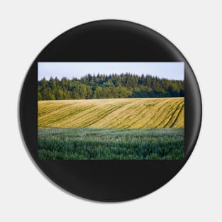 Triple Layered Landscape Pin