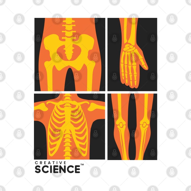 Medicine: Orange X-Ray by Creative Science