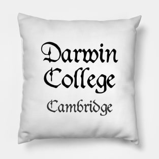 Cambridge Darwin College Medieval University Pillow