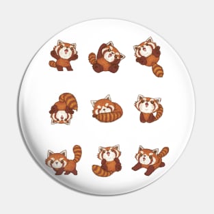 Many Red pandas Pin