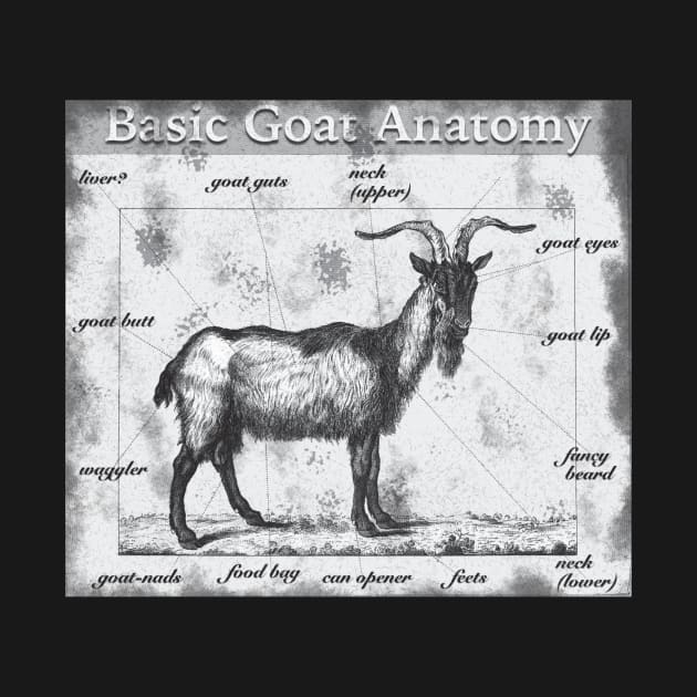 Basic Goat Anatomy by KilburKilbur