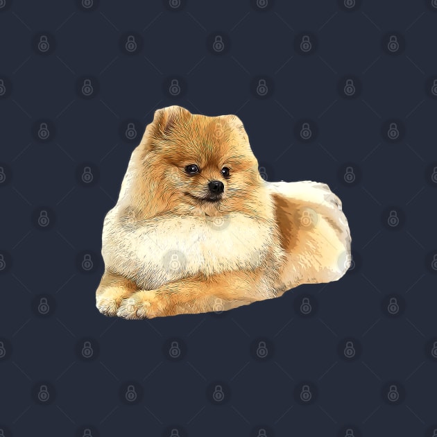 Pomeranian Puppy Dog by ElegantCat