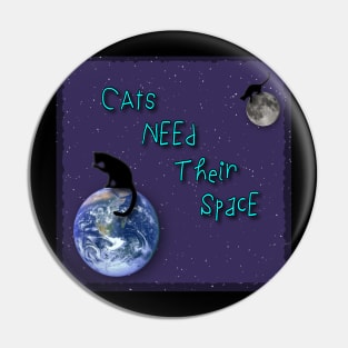 Cats need their space Pin