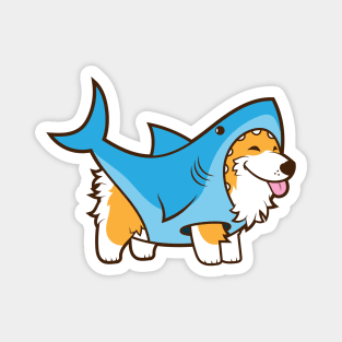 Corgi in a Shark Suit Magnet