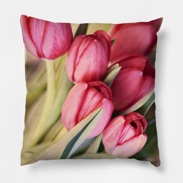 Vintage Tulips Pillow by micklyn