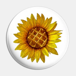 Girasol gofre Pin