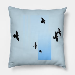 Birds Pillow