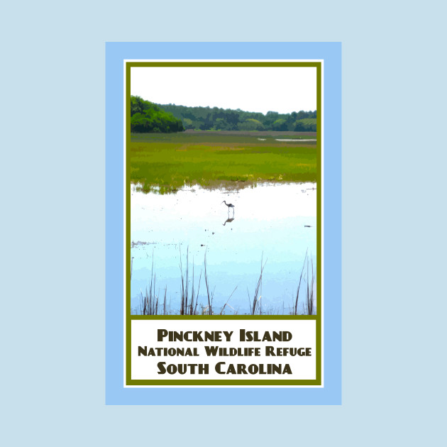 Discover Vintage Travel Pinckney Island - South Carolina - T-Shirt