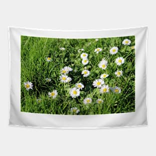 Lawn with Daisies Tapestry