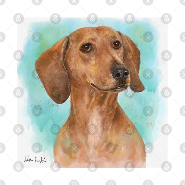 Portrait of a Dachshund in Watercolor with Turquoise Background by ibadishi