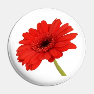 Red Gerbera Daisy Pin