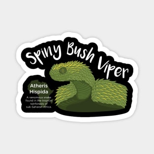 Spiny Bush Viper Magnet