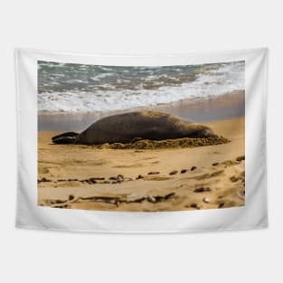 Hawaiian monk seal Tapestry