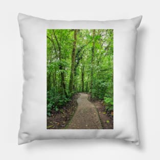 Path in Monteverde cloud forest Costa Rica Pillow