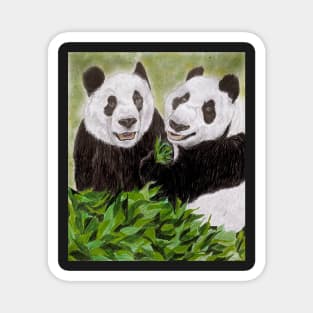 PANDAS Magnet