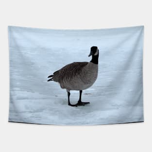 Canada Goose Standing On The Snow Tapestry