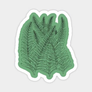 Sword ferns Magnet