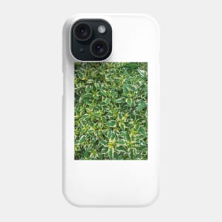 GREEN COLEUS PLANTS Phone Case