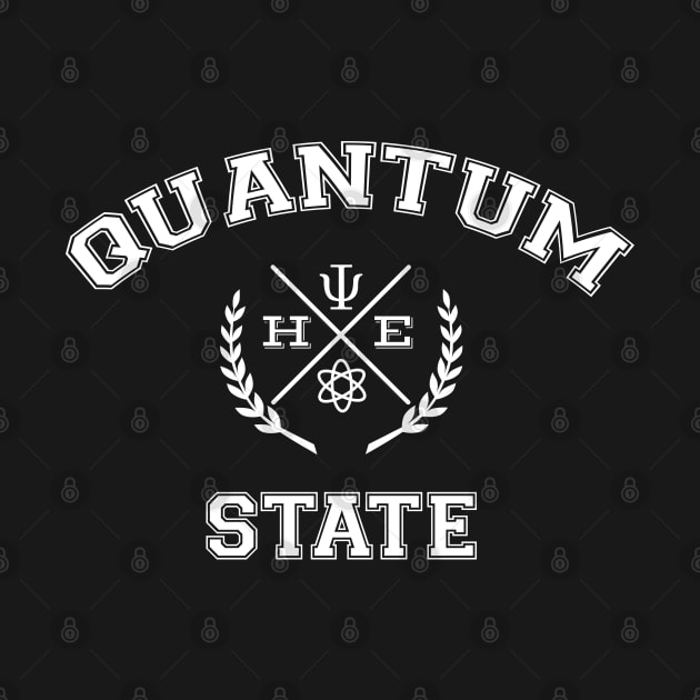 Nerdy Science Quantum State Shirt by orbitaledge