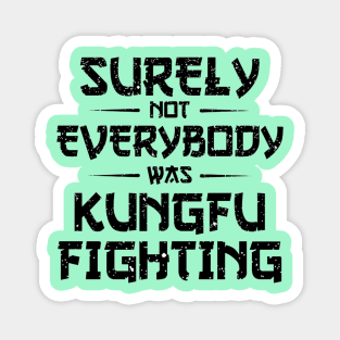 Surely Not Everybody Was Kung Fu Fighting Magnet