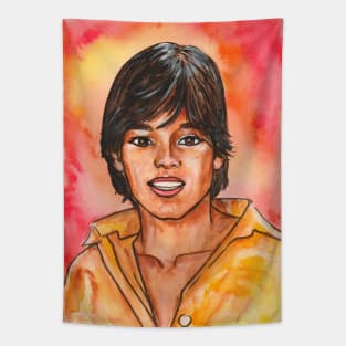 Ricky Martin Tapestry