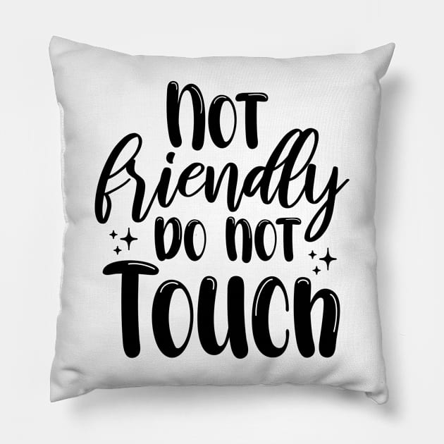 Not Friendly do not touch Pillow by chidadesign