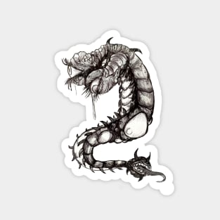 Cent-eye-pede chaos wyrm Magnet