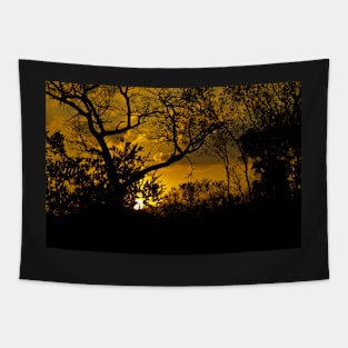 African Sunset Tapestry