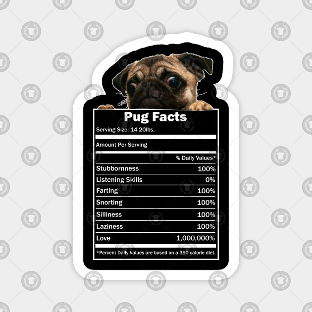 Pug Dog Diet Chart