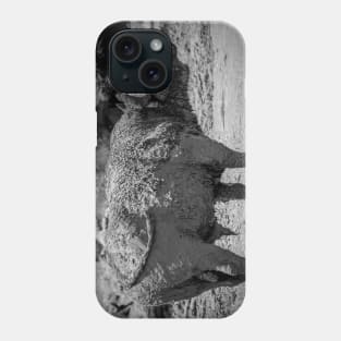 N&B vintage - Iakhawunti monte la garde Phone Case