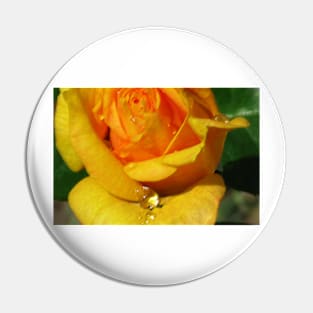 Yellow Rose with Water Drop Pin