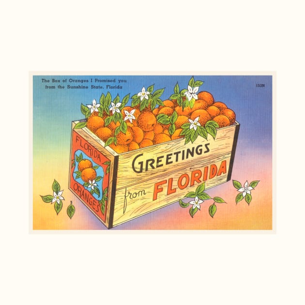 Ad for Oranges, Sunshine State, Florida postcard by WAITE-SMITH VINTAGE ART